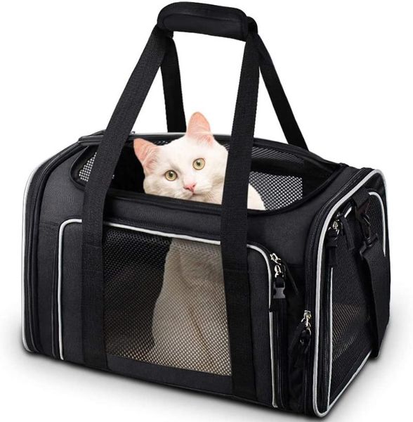 dog car seat covers carrier for dogs soft sided collapsible cat bag pet backpack accessories puppy supplies
dog car seat covers carrier for dogs soft sided collapsible cat bag pet backpack accessories puppy supplies