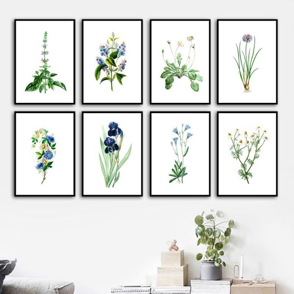 wall art canvas painting daisy bluebell basil aster nordic posters and prints wall pictures for living room kitchen decor
wall art canvas painting daisy bluebell basil aster nordic posters and prints wall pictures for living room kitchen decor