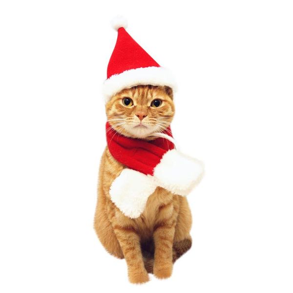 dog apparel cat santa hat cloak pet cosplay costume xmas kitten puppy red caps party dress up christmas hats drop
dog apparel cat santa hat cloak pet cosplay costume xmas kitten puppy red caps party dress up christmas hats drop