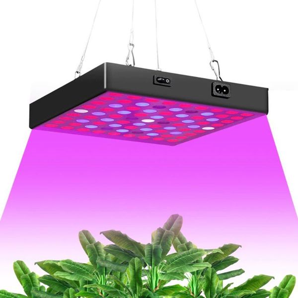 plant light led grow light full spectrum phytolamp for indoor growth lamp hydroponics phytolamp for plants flowers cultivation
plant light led grow light full spectrum phytolamp for indoor growth lamp hydroponics phytolamp for plants flowers cultivation