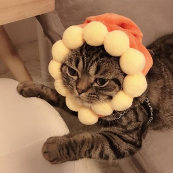 cat costumes pet hat dog cap costume funny headwear banana sunflower puppy kitten for party festival cosplay pography
cat costumes pet hat dog cap costume funny headwear banana sunflower puppy kitten for party festival cosplay pography