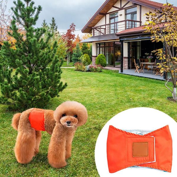 dog apparel anti-harassment puppy safety pants washable durable doggie underwear female shorts physiological diaper
dog apparel anti-harassment puppy safety pants washable durable doggie underwear female shorts physiological diaper