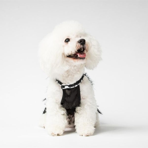 dog apparel clothes dress tassel lace soft comfortable pet teddy for small dogs
dog apparel clothes dress tassel lace soft comfortable pet teddy for small dogs