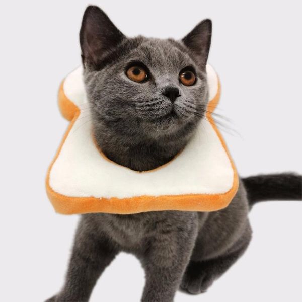 funny pet cat collar soft velvet toast bread shape collars for small medium larger cats puppy kitten pets product
funny pet cat collar soft velvet toast bread shape collars for small medium larger cats puppy kitten pets product