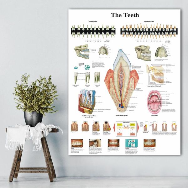 paintings modular pictures wall art print anatomical charts poster human teeth chart canvas painting for education office frame
paintings modular pictures wall art print anatomical charts poster human teeth chart canvas painting for education office frame