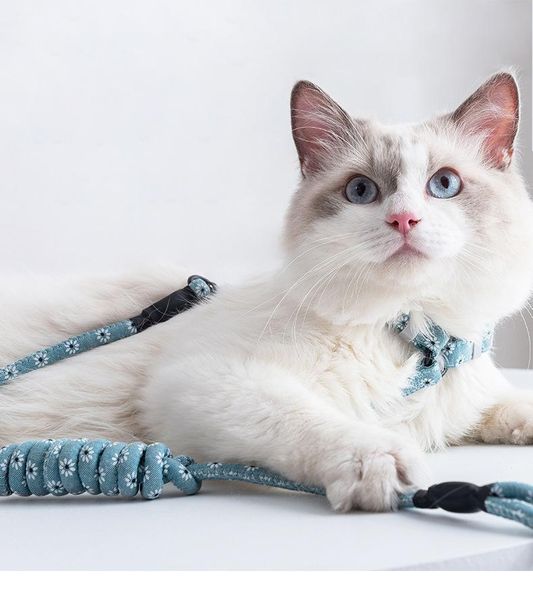 cat collars & leads shuangmao pet dog collar harness leash adjustable nylon traction kitten halter gato cats products pets belt
cat collars & leads shuangmao pet dog collar harness leash adjustable nylon traction kitten halter gato cats products pets belt