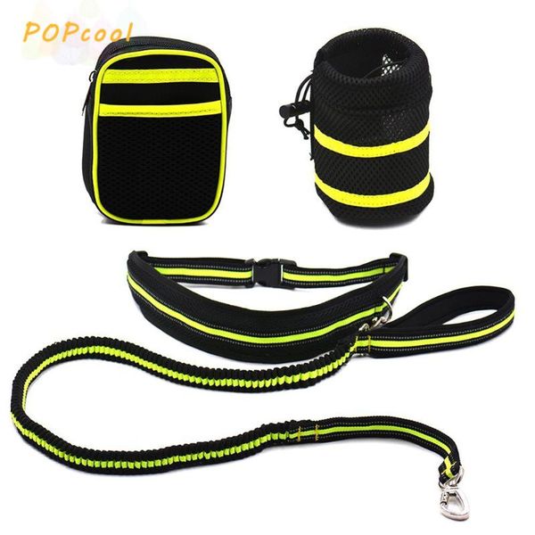 dog collars & leashes outdoor pets leash coupler double walker lead no pull harness elastic two dogs splitter accessories
dog collars & leashes outdoor pets leash coupler double walker lead no pull harness elastic two dogs splitter accessories