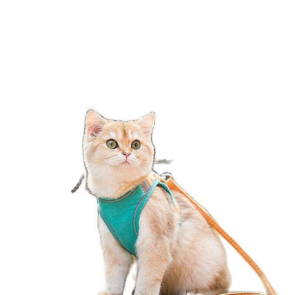 cat collars & leads lovely traction rope vest-style chest harness anti-breaking out dog special for walking deerskin velvet material
cat collars & leads lovely traction rope vest-style chest harness anti-breaking out dog special for walking deerskin velvet material