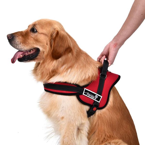 dog collars & leashes pet harness for small medium large adjustable soft breathable vest size xs-xl outdor walking training accessory
dog collars & leashes pet harness for small medium large adjustable soft breathable vest size xs-xl outdor walking training accessory