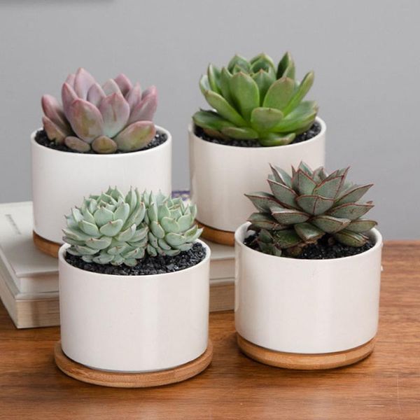 planters & pots simplicity ceramic flower pot home office decoration accessories round planter succulent flowerpots plants container bonsai 
planters & pots simplicity ceramic flower pot home office decoration accessories round planter succulent flowerpots plants container bonsai