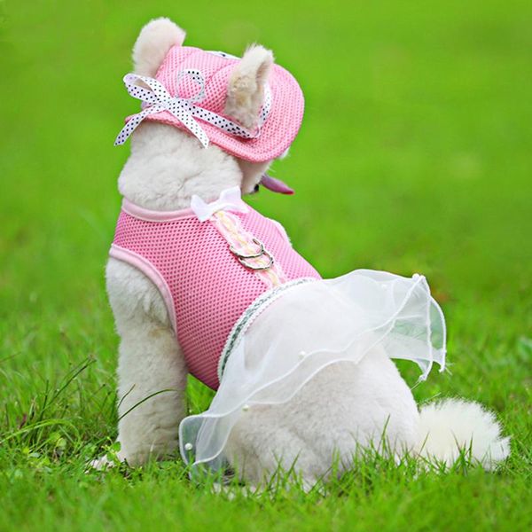 dog collars & leashes breathable mesh harness gauze skirt adjustable cat vest dress chest strap for puppy pet accessories arnes perro
dog collars & leashes breathable mesh harness gauze skirt adjustable cat vest dress chest strap for puppy pet accessories arnes perro