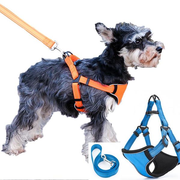dog collars & leashes harness leash rope set adjustable dogs chest back traction puppy pet durable outdoor walking chain belt
dog collars & leashes harness leash rope set adjustable dogs chest back traction puppy pet durable outdoor walking chain belt