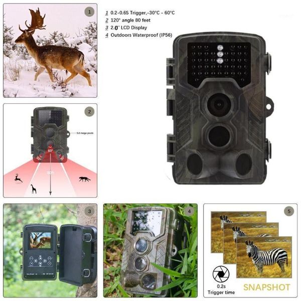 hunting cameras hc-800a camera po traps 1080p 16mp hd wildlife scouting cam night vision infrared wildcamera trail cameras1
hunting cameras hc-800a camera po traps 1080p 16mp hd wildlife scouting cam night vision infrared wildcamera trail cameras1