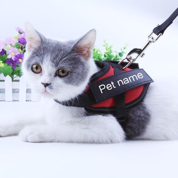 cat costumes personalized harness anti-lost nylon mesh breathable adjustable pet for dog kitten vest with custom patch
cat costumes personalized harness anti-lost nylon mesh breathable adjustable pet for dog kitten vest with custom patch