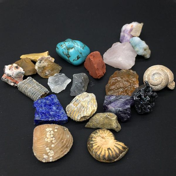 decorative objects & figurines kids ore set teaching materials durable mineral ornament craft gadget natural stone useful geological crystal
decorative objects & figurines kids ore set teaching materials durable mineral ornament craft gadget natural stone useful geological crystal