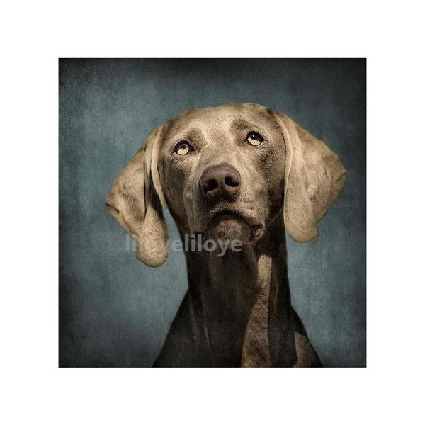 diamond painting full square/round drill 5d diy weimaraner dog embroidery cross stitch pictures of rhinestones home decor ty301
diamond painting full square/round drill 5d diy weimaraner dog embroidery cross stitch pictures of rhinestones home decor ty301