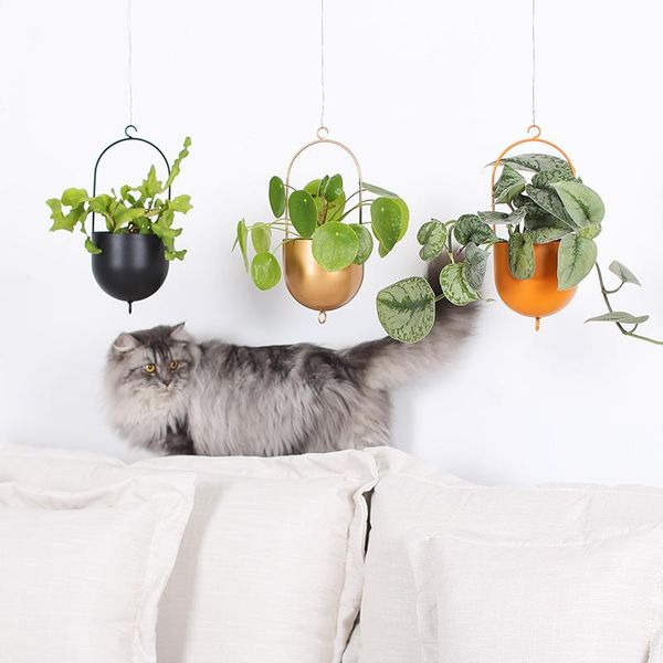 other garden supplies iron hanging basket for plants flowers vase wall flower pot nordic decorative hanger mount home
other garden supplies iron hanging basket for plants flowers vase wall flower pot nordic decorative hanger mount home