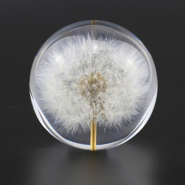real dandelion crystal glass resin lens ball 70mm natural plants specimen feng shui flowers christmas love gift home decor globe
real dandelion crystal glass resin lens ball 70mm natural plants specimen feng shui flowers christmas love gift home decor globe