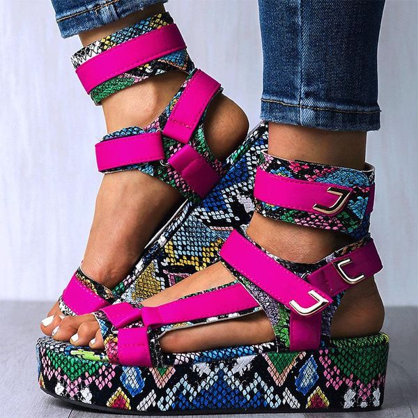 dress shoes 2021 novelties for women wedge platform gladiator sandals female snake pattern hook-loop ankle strap large summer, Black
dress shoes 2021 novelties for women wedge platform gladiator sandals female snake pattern hook-loop ankle strap large summer, Black