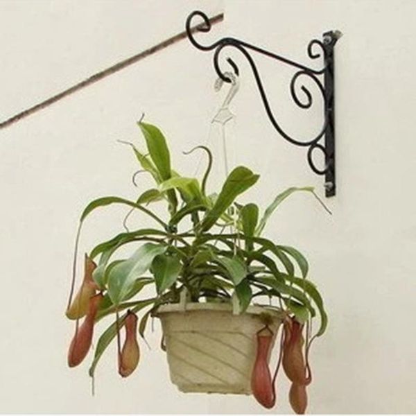hooks & rails metal plant hangers hanging basket hanger hook wall decor high quality
hooks & rails metal plant hangers hanging basket hanger hook wall decor high quality
