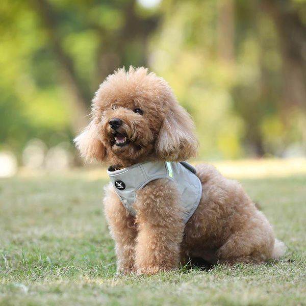 dog collars & leashes puppy lead leash vest chest strap rope harness reflective breathable for outdoor @ls
dog collars & leashes puppy lead leash vest chest strap rope harness reflective breathable for outdoor @ls