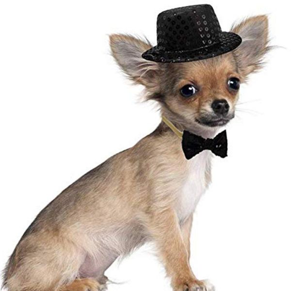 dog apparel a funny pet hat fancy jazz headgear costume accessories po props for cat puppy cap cosplay costumes
dog apparel a funny pet hat fancy jazz headgear costume accessories po props for cat puppy cap cosplay costumes