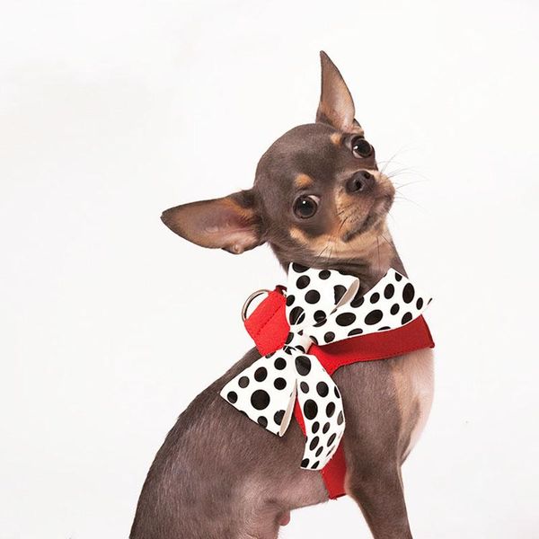 dog collars & leashes elegant lace bowknot harness vest adjustable chest cute bow knot suit for pet accessories
dog collars & leashes elegant lace bowknot harness vest adjustable chest cute bow knot suit for pet accessories