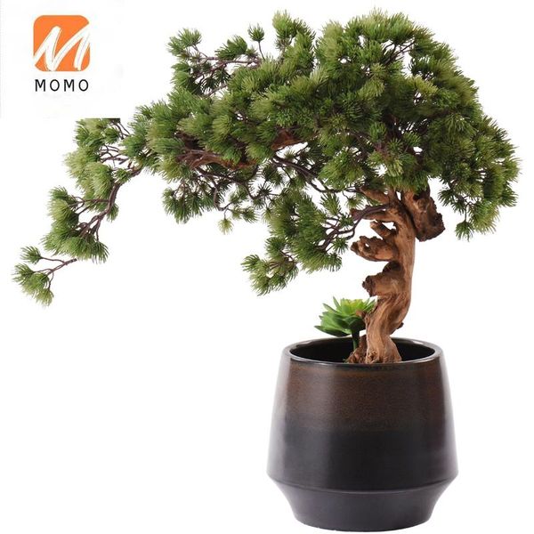 vases chinese style artificial greeting pine podocarpus macrophyllus cypress bonsai pot soft decoration ornaments
vases chinese style artificial greeting pine podocarpus macrophyllus cypress bonsai pot soft decoration ornaments