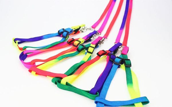 dog collars & leashes adjustable durable leash nylon rainbow pet collar harness vest set soft for dogs cats outdoor walking
dog collars & leashes adjustable durable leash nylon rainbow pet collar harness vest set soft for dogs cats outdoor walking