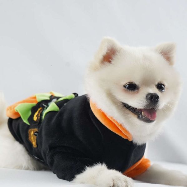 new mindray 2020 autumn winter pet cloth halloween pumpkin costume teddy bear miniature puppy cat
new mindray 2020 autumn winter pet cloth halloween pumpkin costume teddy bear miniature puppy cat