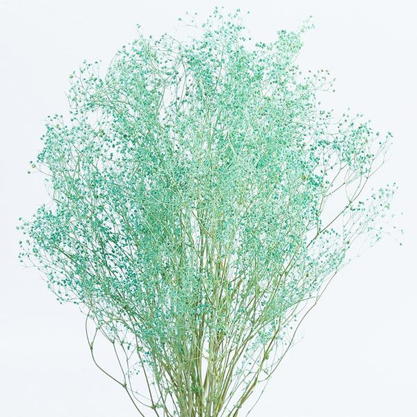 30g denisfen dried flower bouquet natural plants blossom graceful baby breath decorative flowers for wedding decoration ndfh1132
30g denisfen dried flower bouquet natural plants blossom graceful baby breath decorative flowers for wedding decoration ndfh1132