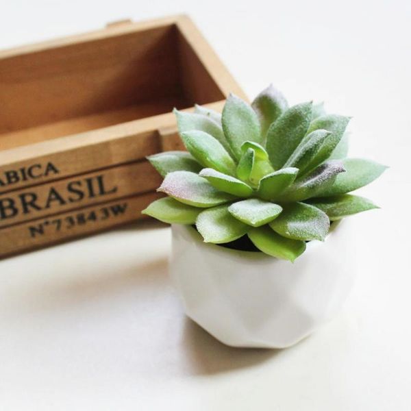 decorative flowers & wreaths succulents potted simulation with flower pot mini different artificial plant for home
decorative flowers & wreaths succulents potted simulation with flower pot mini different artificial plant for home