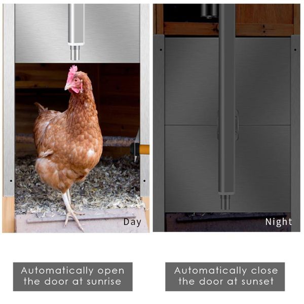 small animal supplies automatic chicken coop door opener controller kit with light sensor timer auto close cage poultry farm 220v
small animal supplies automatic chicken coop door opener controller kit with light sensor timer auto close cage poultry farm 220v