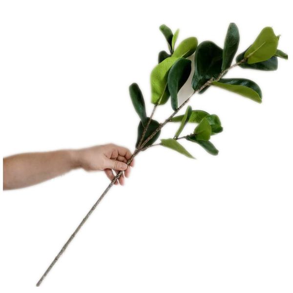 decorative flowers & wreaths one artificial ficus lyrata leaf branches simulation green tree stems greenery plant
decorative flowers & wreaths one artificial ficus lyrata leaf branches simulation green tree stems greenery plant