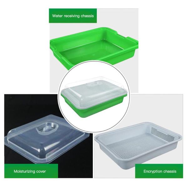 planters & pots soilless culture beans hydroponics seed germination tray seedling sprout plate grow nursery vegetable sprouting trays tools
planters & pots soilless culture beans hydroponics seed germination tray seedling sprout plate grow nursery vegetable sprouting trays tools