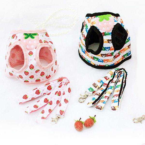 dog collars & leashes pet vest harnesses cute strawberry bear small dogs harness puppy cat collar pets chest strap leash set
dog collars & leashes pet vest harnesses cute strawberry bear small dogs harness puppy cat collar pets chest strap leash set