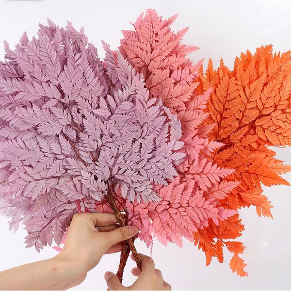 decorative flowers & wreaths goat tooth leaf fern preserved fiddlehead ferns home decor wedding decoration dekoration pampas grass vaso palm
decorative flowers & wreaths goat tooth leaf fern preserved fiddlehead ferns home decor wedding decoration dekoration pampas grass vaso palm