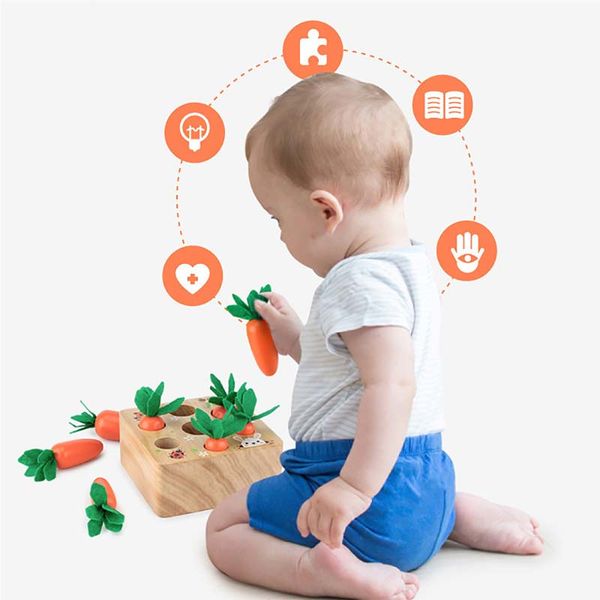 Montessori Toy Wooden Block Set Pulling Carrot Ability Alpinia Shape Matching Size Cognition Interactive Educational Kid Toy
Montessori Toy Wooden Block Set Pulling Carrot Ability Alpinia Shape Matching Size Cognition Interactive Educational Kid Toy
