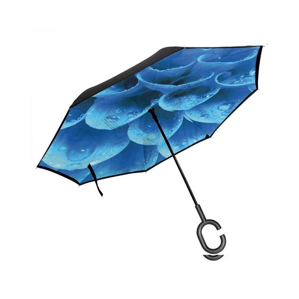 umbrellas car reversing umbrella, macro close-up pography of abstract gerbera petals and water drops, with c-shaped handle, umbrella
umbrellas car reversing umbrella, macro close-up pography of abstract gerbera petals and water drops, with c-shaped handle, umbrella