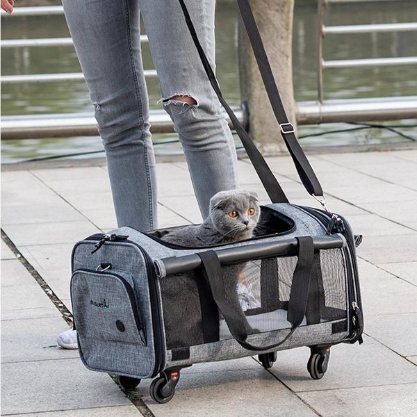 dog car seat covers tug wheel pet bag breathable outdoor cat cage puppy carrying shoulder bags protable carrier handbag
dog car seat covers tug wheel pet bag breathable outdoor cat cage puppy carrying shoulder bags protable carrier handbag