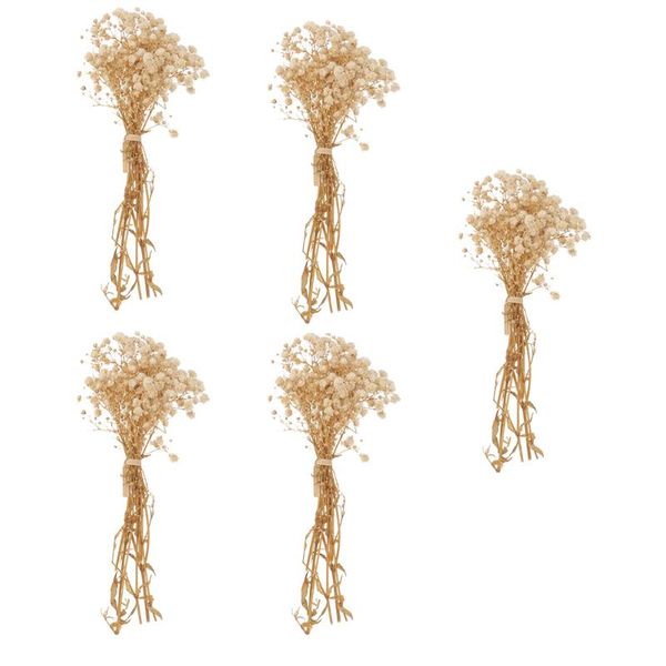 decorative flowers & wreaths 5pcs died bouquet adorns natural dried gypsophila flower gift box decors
decorative flowers & wreaths 5pcs died bouquet adorns natural dried gypsophila flower gift box decors