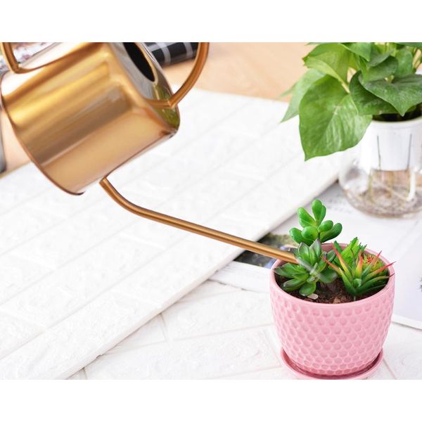 stainless steel watering can pots long mouth watering can pot flower plants perfer for sprinkling tools for garden supplies
stainless steel watering can pots long mouth watering can pot flower plants perfer for sprinkling tools for garden supplies