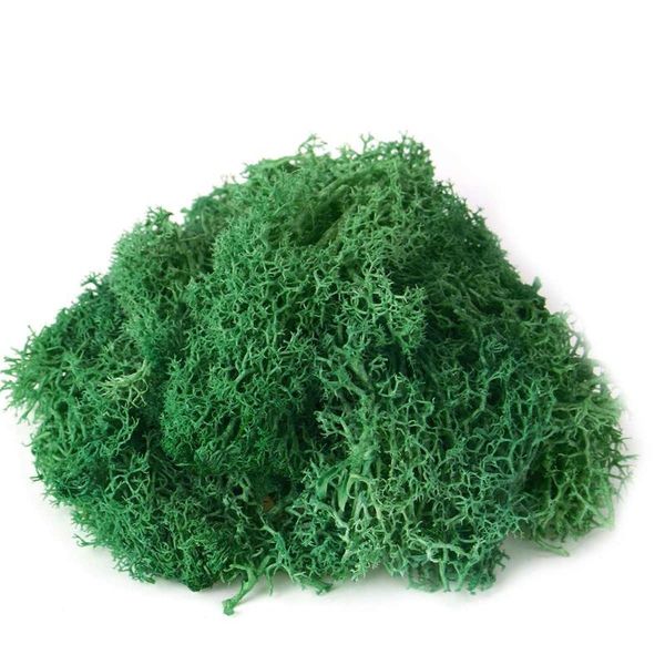 decorative flowers & wreaths 7 colors artificial plant eternal life moss / garden home decoration wall diy flower material mini landscape ac
decorative flowers & wreaths 7 colors artificial plant eternal life moss / garden home decoration wall diy flower material mini landscape ac