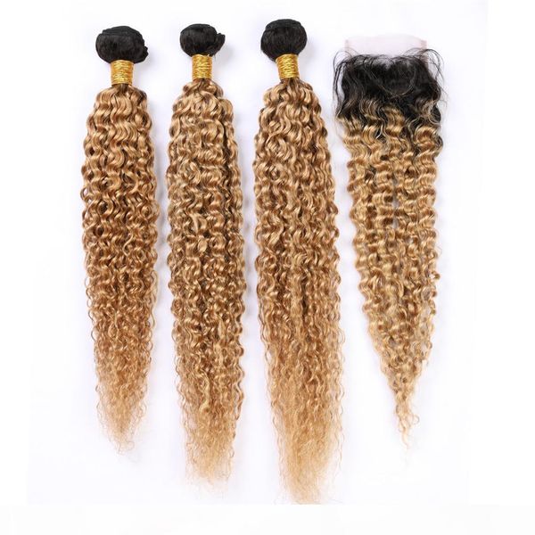 honey blonde ombre bundles and closure kinky curly #1b 27 peruvian human hair weave bundles with lace closure dark root ombre hair wefts, Black;brown
honey blonde ombre bundles and closure kinky curly #1b 27 peruvian human hair weave bundles with lace closure dark root ombre hair wefts, Black;brown
