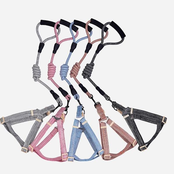 dog leash nylon pet leash for dog running or training collar and harness harness and set supplies accessories
dog leash nylon pet leash for dog running or training collar and harness harness and set supplies accessories