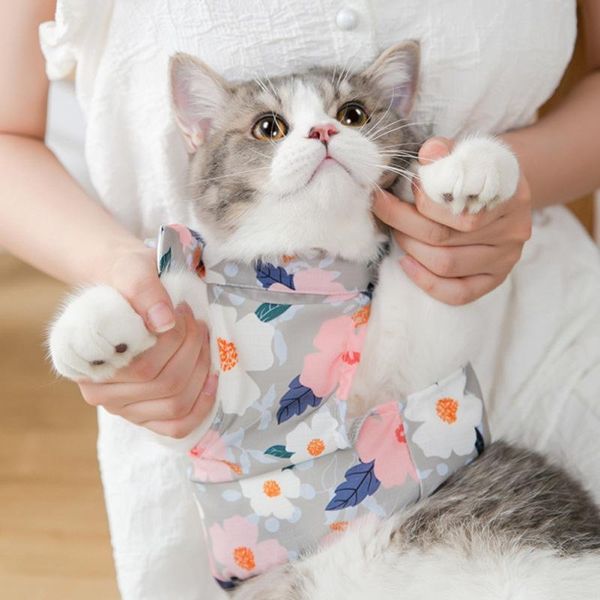 cat costumes clothes summer pet shirt cute floral print casual travel puppy and kitten vest short sleeve dog blouse xs-2xl
cat costumes clothes summer pet shirt cute floral print casual travel puppy and kitten vest short sleeve dog blouse xs-2xl