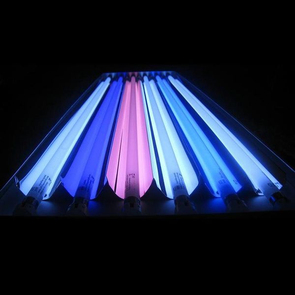 german ati t5ho tube aquablue special /blue plus/actinic/purple plus /coral plus 24w 39w 54w 80w
german ati t5ho tube aquablue special /blue plus/actinic/purple plus /coral plus 24w 39w 54w 80w