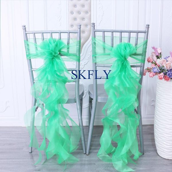 wedding party decoration nice birthday dark green organza curly willow frilly chair sash sashes
wedding party decoration nice birthday dark green organza curly willow frilly chair sash sashes