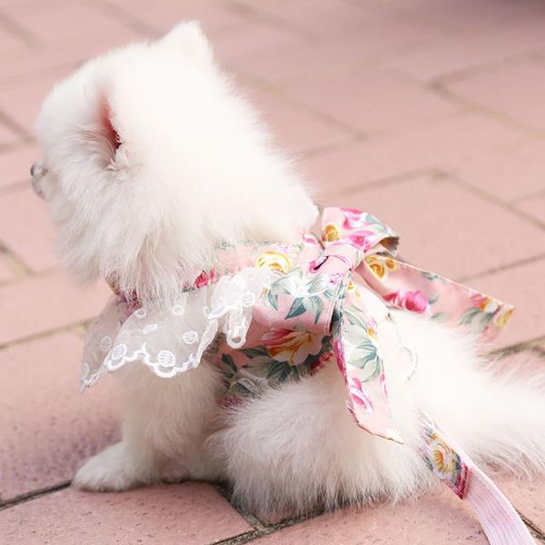 dog collars & leashes korea clothes style leash for small dogs bow-knot harness pet ourdoor collar walking chihuahua teddy rope accessories
dog collars & leashes korea clothes style leash for small dogs bow-knot harness pet ourdoor collar walking chihuahua teddy rope accessories