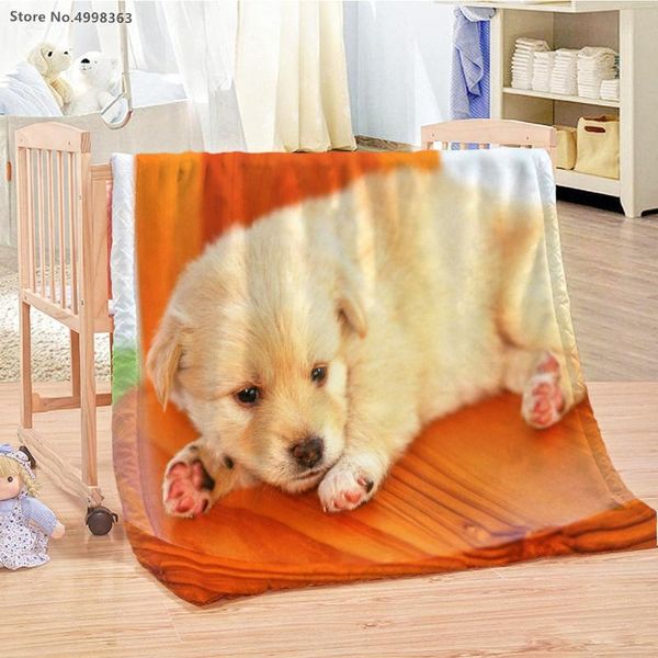 blankets pet dog blanket gift for girl kids teen cartoon home bed cover nap textiles 3d print animals throw
blankets pet dog blanket gift for girl kids teen cartoon home bed cover nap textiles 3d print animals throw